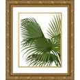 thumbnail image 1 of Fab Funky 15x18 Gold Ornate Wood Framed with Double Matting Museum Art Print Titled - Fan Palm 2, Green on White, 1 of 4