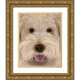 thumbnail image 1 of Fab Funky 15x18 Gold Ornate Wood Framed with Double Matting Museum Art Print Titled - Labradoodle Big Dog, 1 of 4