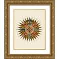 thumbnail image 1 of Fab Funky 15x18 Gold Ornate Wood Framed with Double Matting Museum Art Print Titled - Nautical Star, 1 of 4