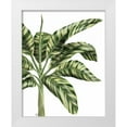thumbnail image 1 of Fab Funky 15x18 White Modern Wood Framed Museum Art Print Titled - Banana Tree 3, Green, 1 of 4