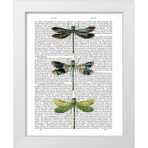 Fab Funky 15x18 White Modern Wood Framed Museum Art Print Titled - Dragonflies Print 2