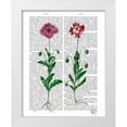 thumbnail image 1 of Fab Funky 15x18 White Modern Wood Framed Museum Art Print Titled - Italian Carnation 3, 1 of 4