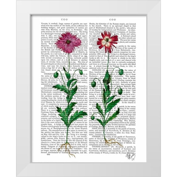 Fab Funky 15x18 White Modern Wood Framed Museum Art Print Titled - Italian Carnation 3