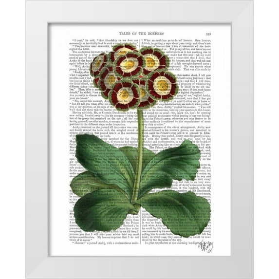 Fab Funky 15x18 White Modern Wood Framed Museum Art Print Titled - Primula Auricula Red