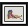 thumbnail image 1 of Fab Funky 18x15 Black Ornate Wood Framed with Double Matting Museum Art Print Titled - Cat Rainbow Splash 10, 1 of 4