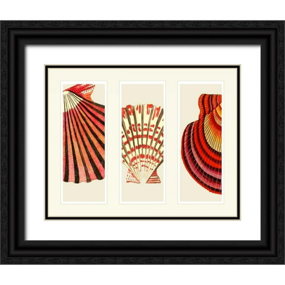 Fab Funky 18x15 Black Ornate Wood Framed with Double Matting Museum Art Print Titled - Red and Cream Shells on 3 Panels