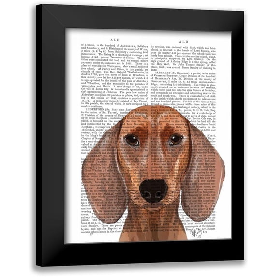 Fab Funky 20x24 Black Modern Framed Museum Art Print Titled - Dachshund Illustration Plain