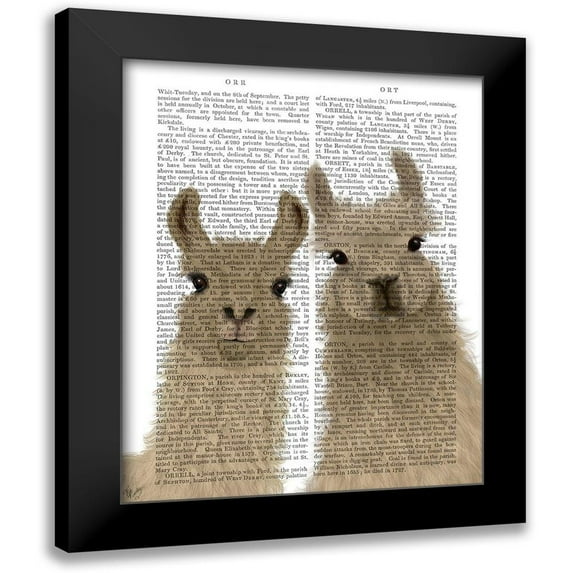 Fab Funky 20x24 Black Modern Framed Museum Art Print Titled - Llama Duo, Looking at You Book Print