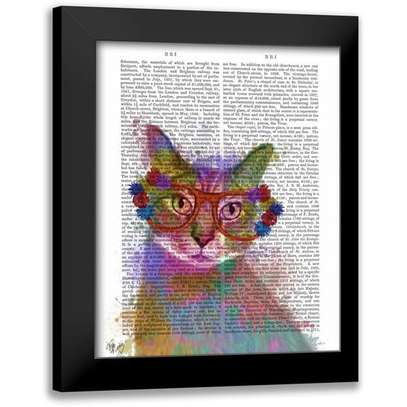 Fab Funky 20x24 Black Modern Framed Museum Art Print Titled - Rainbow Splash Cat 1