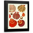 thumbnail image 1 of Fab Funky 20x24 Black Modern Framed Museum Art Print Titled - Red and Cream Clam Shells, 1 of 5