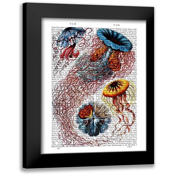 Fab Funky 20x24 Black Modern Framed Museum Art Print Titled - Sea Anemone