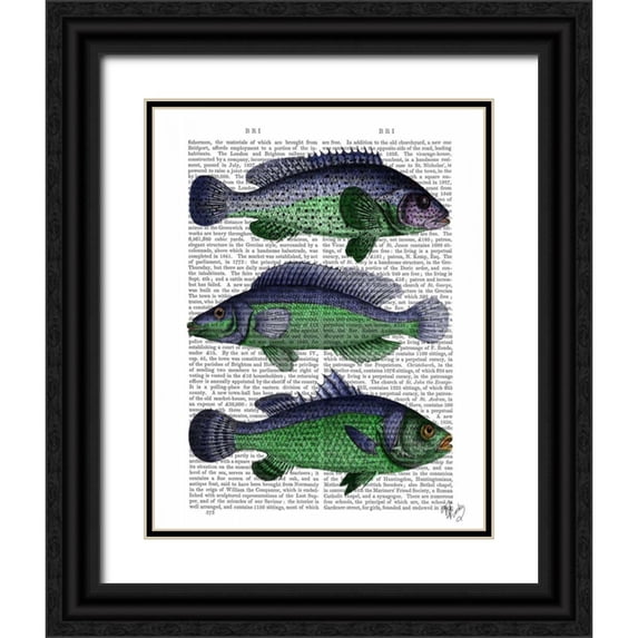 Fab Funky 20x24 Black Ornate Wood Framed with Double Matting Museum Art Print Titled - Blue and Green Fish Trio