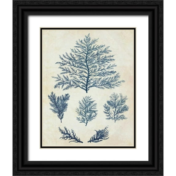Fab Funky 20x24 Black Ornate Wood Framed with Double Matting Museum Art Print Titled - Indigo Blue Seaweed 1 c