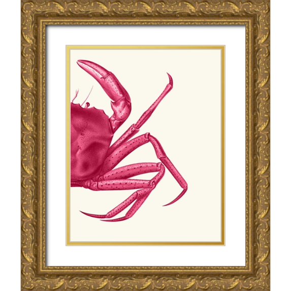 Fab Funky 20x24 Gold Ornate Wood Framed with Double Matting Museum Art Print Titled - Contrasting Crab in Pink b