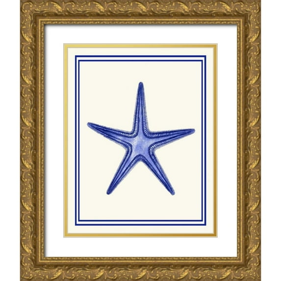 Fab Funky 20x24 Gold Ornate Wood Framed with Double Matting Museum Art Print Titled - Mixed Nautical Blue on Cream f