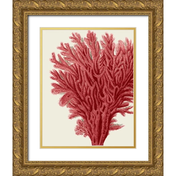 Fab Funky 20x24 Gold Ornate Wood Framed with Double Matting Museum Art Print Titled - Red Corals 2 a