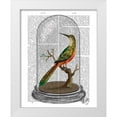 thumbnail image 1 of Fab Funky 20x24 White Modern Wood Framed Museum Art Print Titled - Bird In Bell Jar, 1 of 4