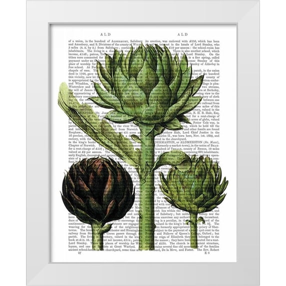 Fab Funky 20x24 White Modern Wood Framed Museum Art Print Titled - Globe Artichoke Print 1