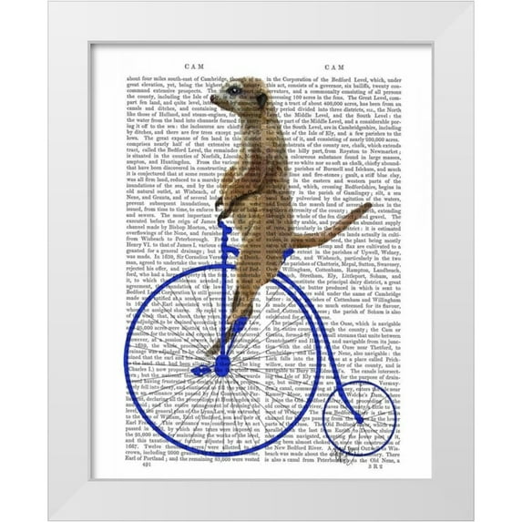 Fab Funky 20x24 White Modern Wood Framed Museum Art Print Titled - Meerkat On Blue Penny Farthing