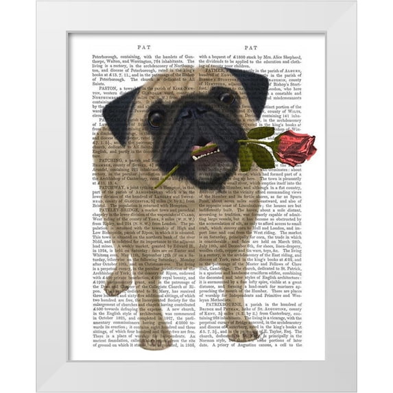 Fab Funky 20x24 White Modern Wood Framed Museum Art Print Titled - Pug and Rose