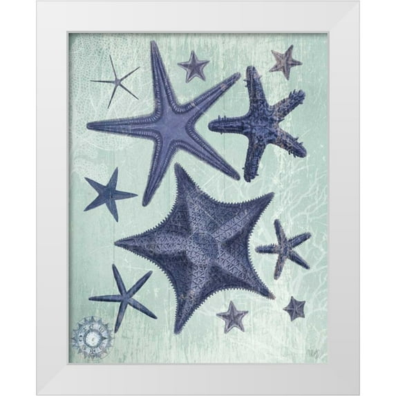 Fab Funky 20x24 White Modern Wood Framed Museum Art Print Titled - Seashell Collection 2 d