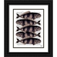 thumbnail image 1 of Fab Funky 26x32 Black Ornate Wood Framed with Double Matting Museum Art Print Titled - Five Striped Fish, 1 of 4