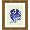 thumbnail image 1 of Fab Funky 26x32 Gold Ornate Wood Framed with Double Matting Museum Art Print Titled - Blue Corals a, 1 of 4