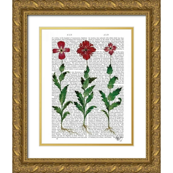 Fab Funky 26x32 Gold Ornate Wood Framed with Double Matting Museum Art Print Titled - Italian Carnation 1