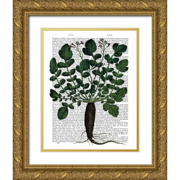 Fab Funky 26x32 Gold Ornate Wood Framed with Double Matting Museum Art Print Titled - Parsnip 4