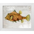 thumbnail image 1 of Fab Funky 32x26 White Modern Wood Framed Museum Art Print Titled - Gold Turret Fish, 1 of 4