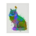 thumbnail image 1 of Fab Funky 'Cat Rainbow Splash 12' Canvas Art, 1 of 3