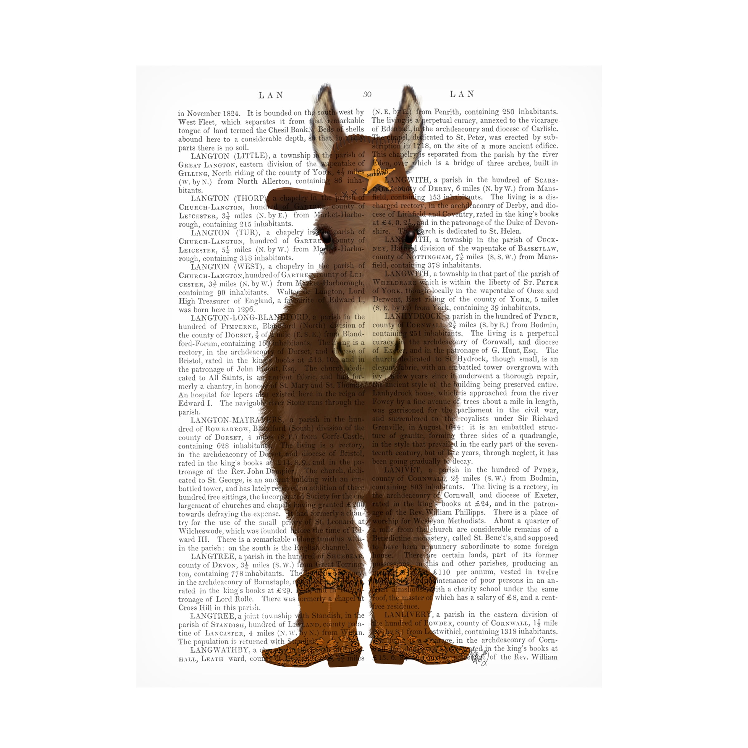 Fab Funky 'Donkey Cowboy Book Print' Canvas Art