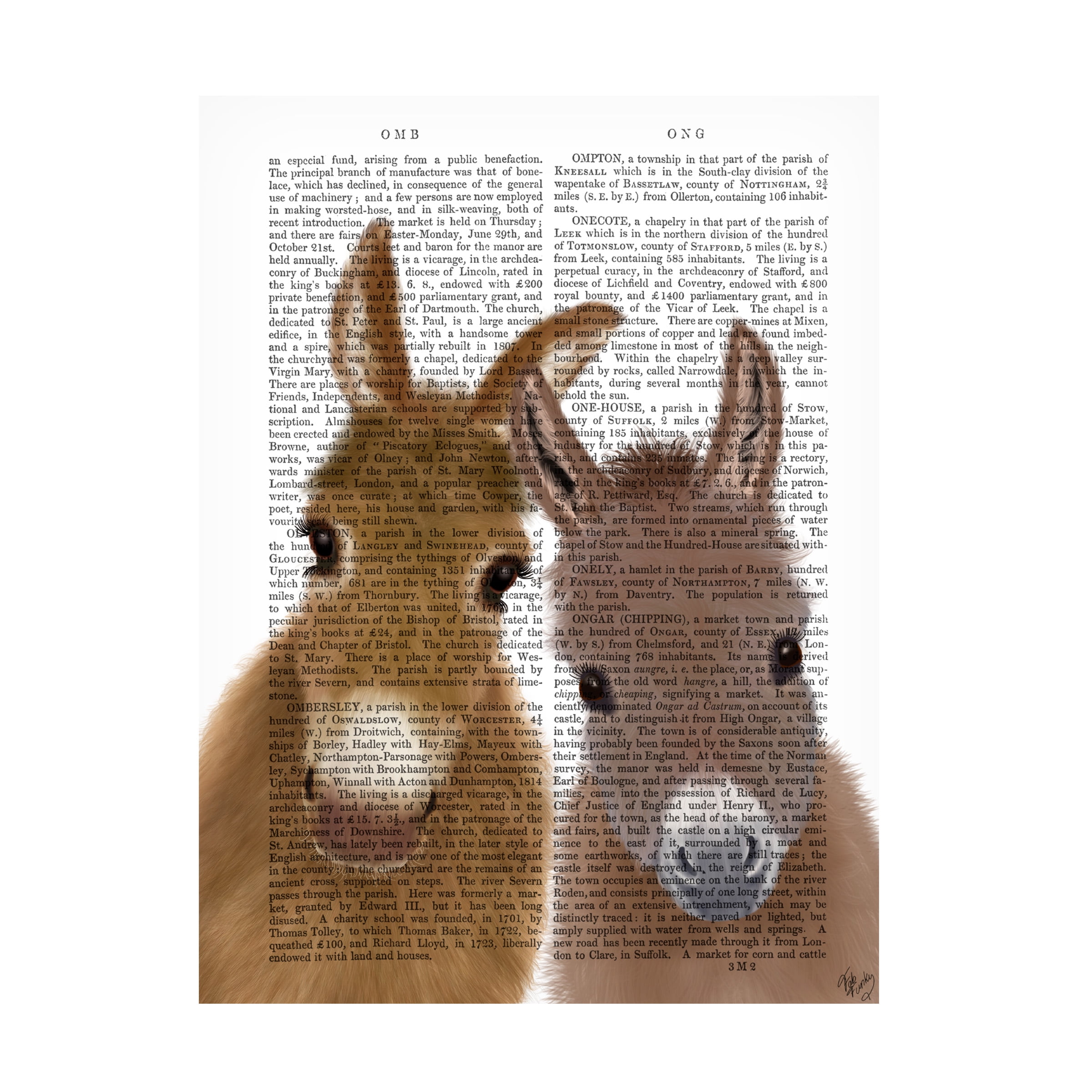 Fab Funky 'Donkey Duo Looking at You Book Print' Canvas Art