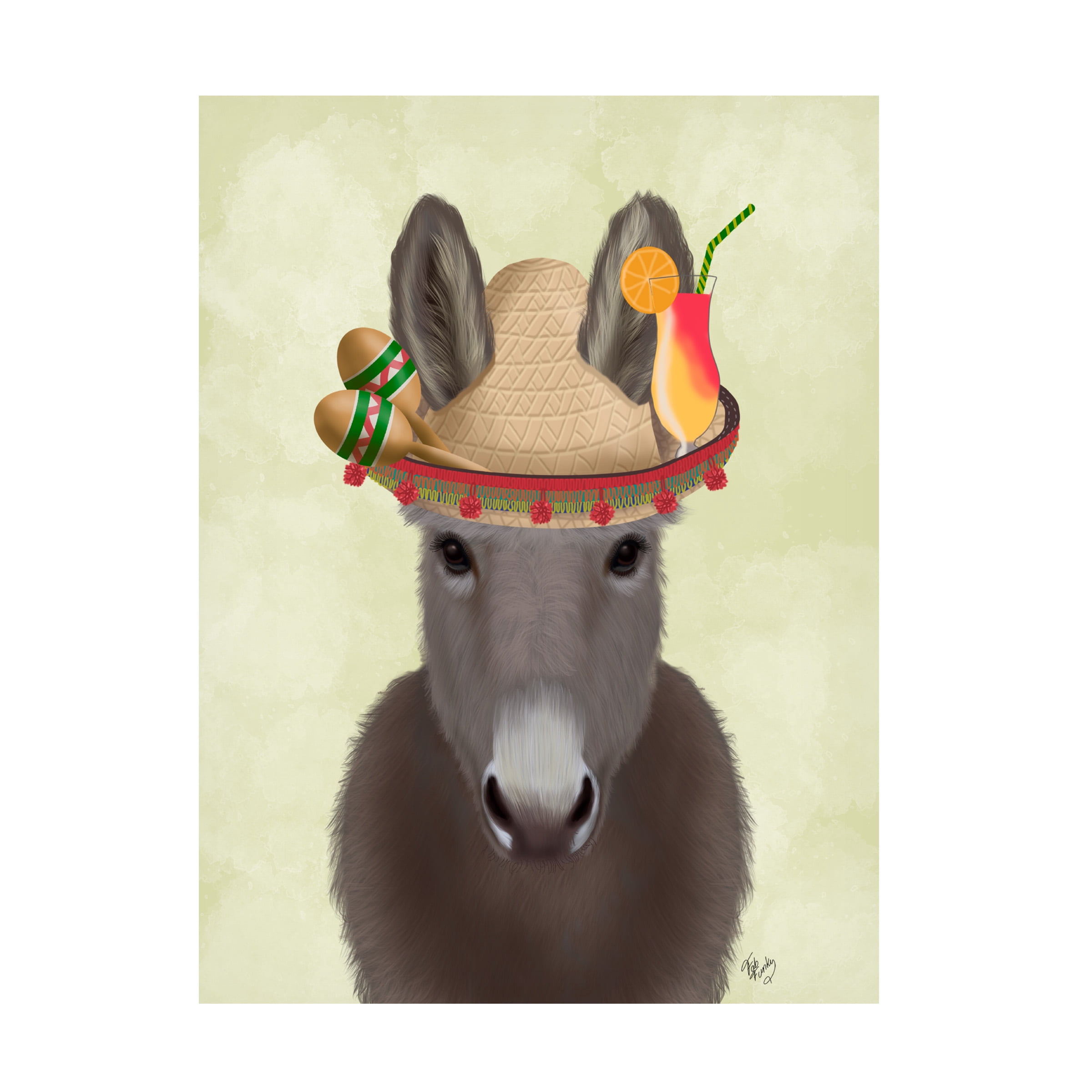 Fab Funky 'Donkey Sombrero' Canvas Art