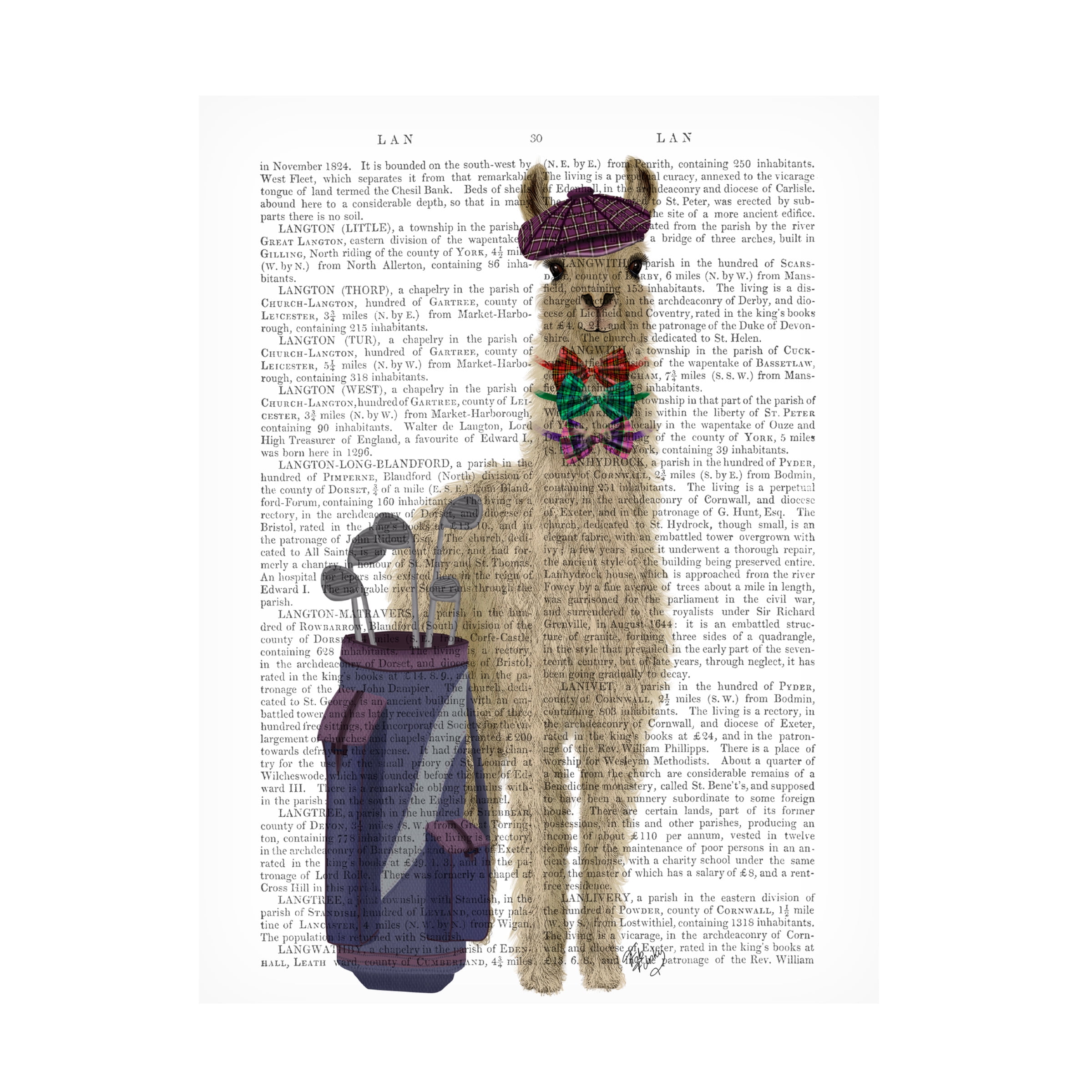 Fab Funky 'Llama Golfing Book Print' Canvas Art