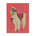 thumbnail image 1 of Fab Funky 'Llama Traditional 2 Full' Canvas Art, 1 of 3