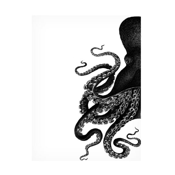 Trademark Fine Art Fab Funky Octopus Black And White A Canvas Wall Art - 18x24