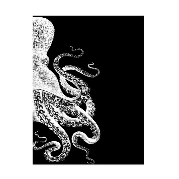 Trademark Fine Art Fab Funky Octopus Black And White B Canvas Wall Art - 14x19