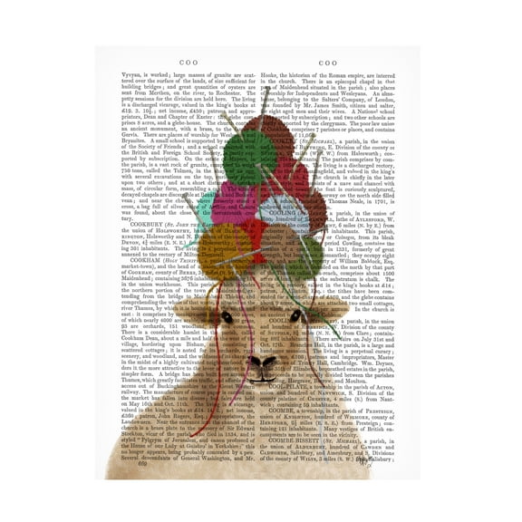 Fab Funky 'Sheep with Wool Hat Portrait Book Print' Canvas Art