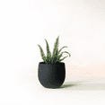 thumbnail image 1 of Fab Habitat Eden Handmade Round Metal Planters in Midnight Finish with Drainage Holes, 1 of 9