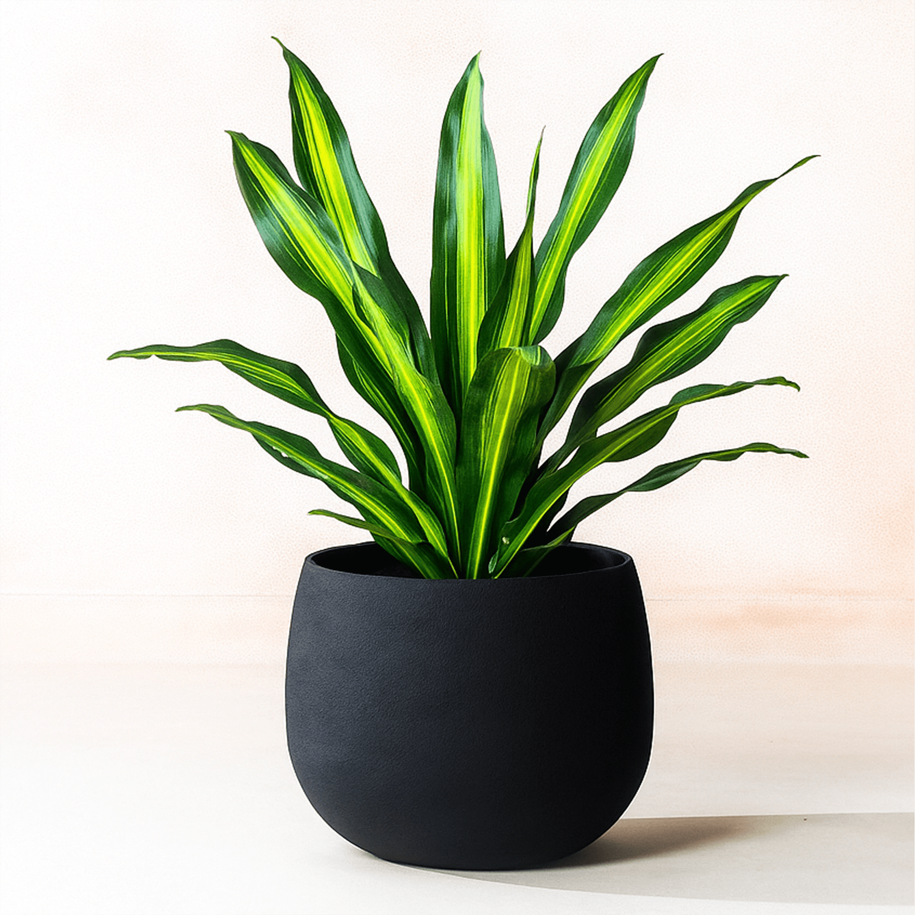 Fab Habitat Eden Handmade Round Metal Planters in Midnight Finish with Drainage Holes