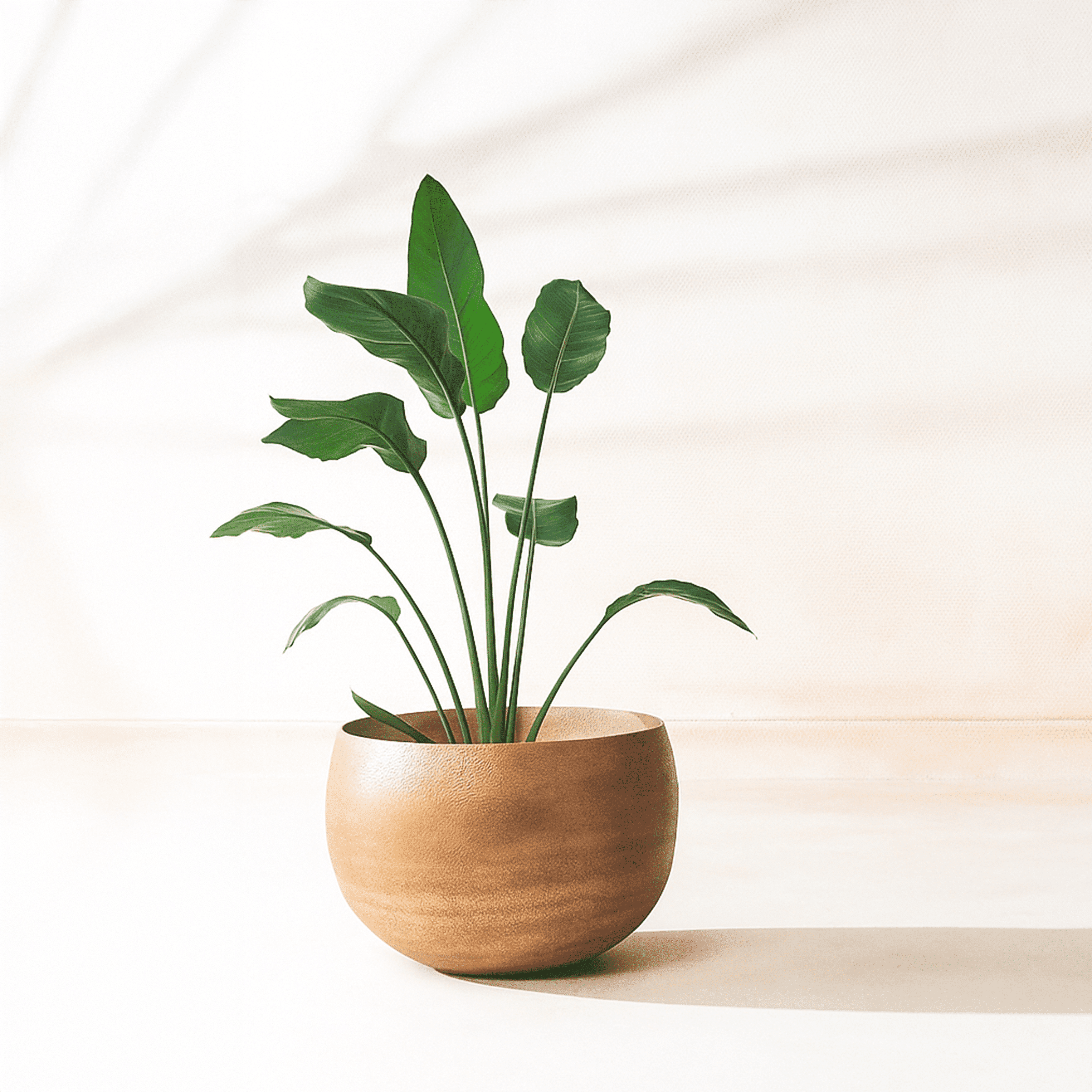 Fab Habitat Eden Handmade Round Metal Planters in Mouse Finish with Drainage Holes