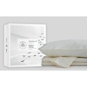 Fabdreams 100% Organic Cotton GOTS Certified 400 TC Sateen King Sheet Set | Ivory