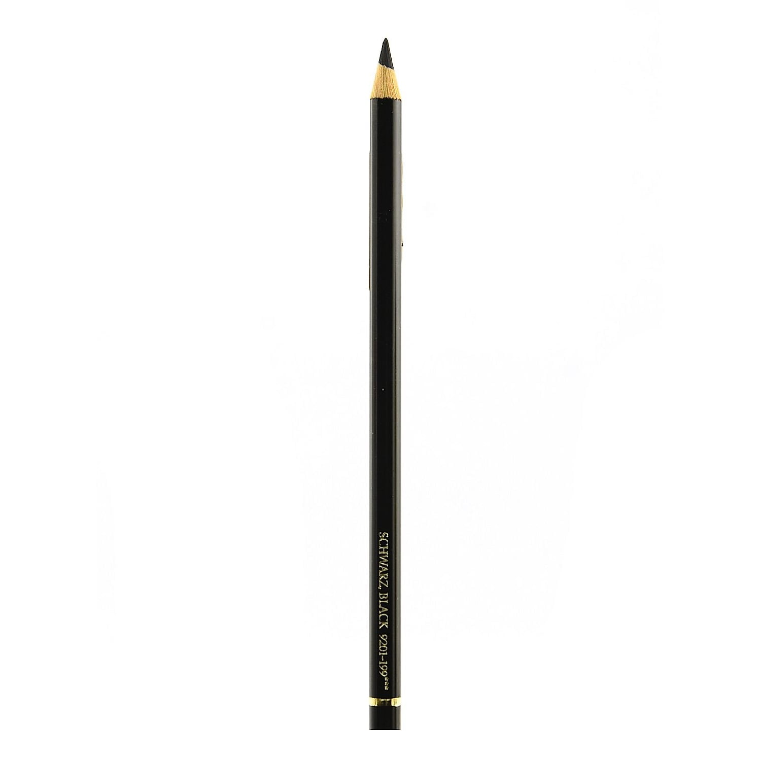 Faber-Castell Polychromos Artist Black Colored Pencils (Pack of 12)