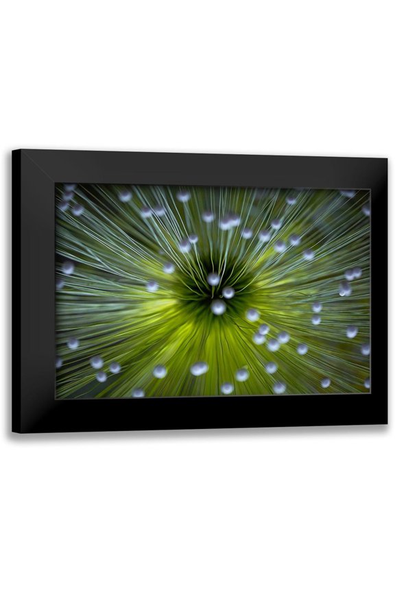 Faber, Wave 14x11 Black Modern Framed Museum Art Print Titled - Inverted Commas