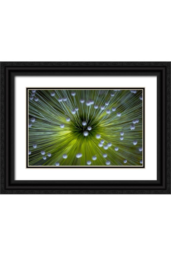 Faber, Wave 18x13 Black Ornate Wood Framed with Double Matting Museum Art Print Titled - Inverted Commas