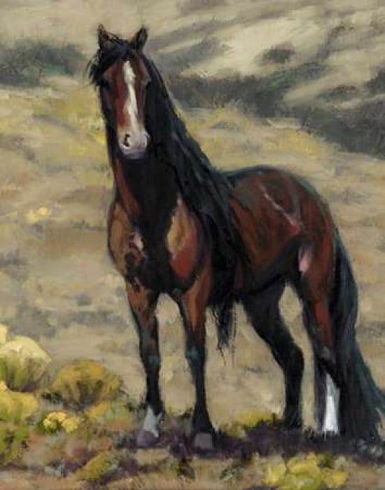 Fabio Canvas Art - Karen Bonnie (22 x 28)