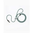 thumbnail image 1 of Fable - Magic Dog Leash ®, 1 of 11
