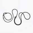 thumbnail image 1 of Fable - Magic Link® Dog leash, 1 of 11