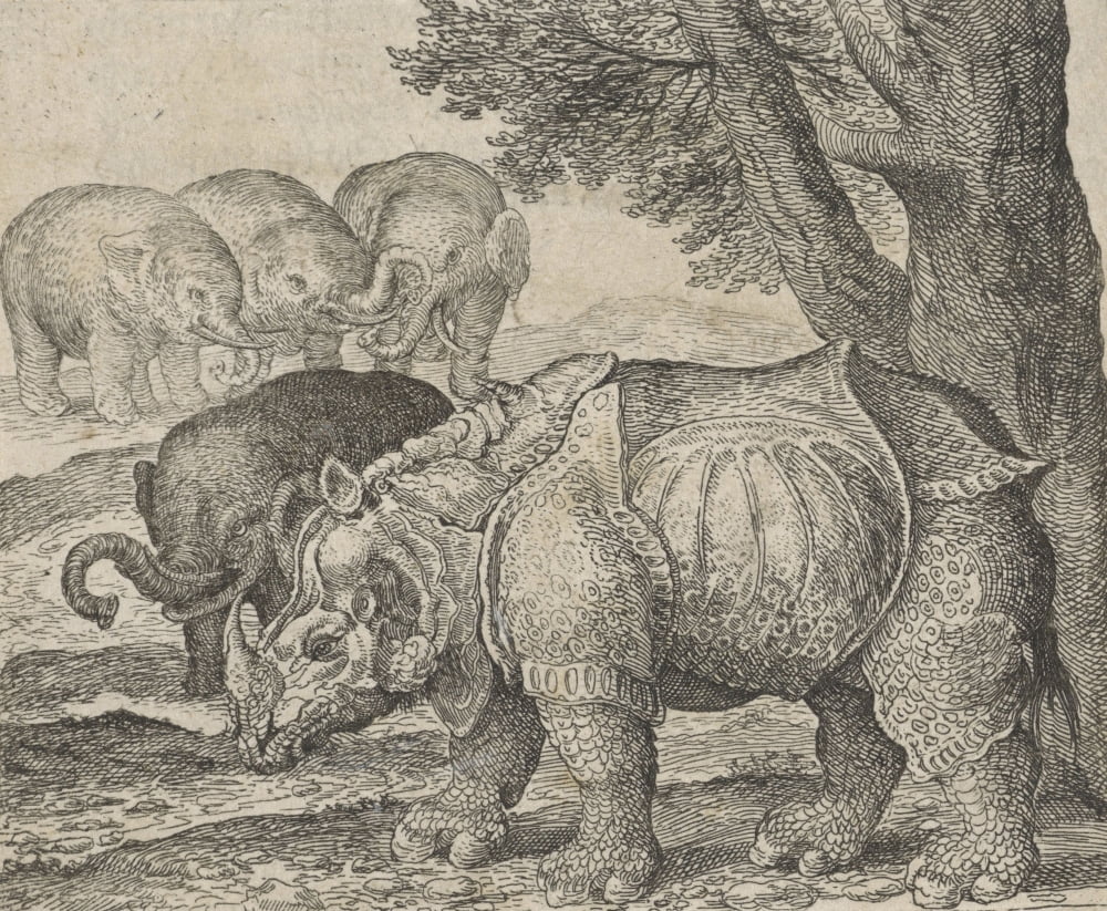 Fable Of The Rhinoceros And Elephants Canvas Art - (24 x 18)